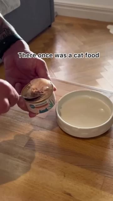 Untamed Cat Food s Meta Ad from Jan 2024 AdScan.ai